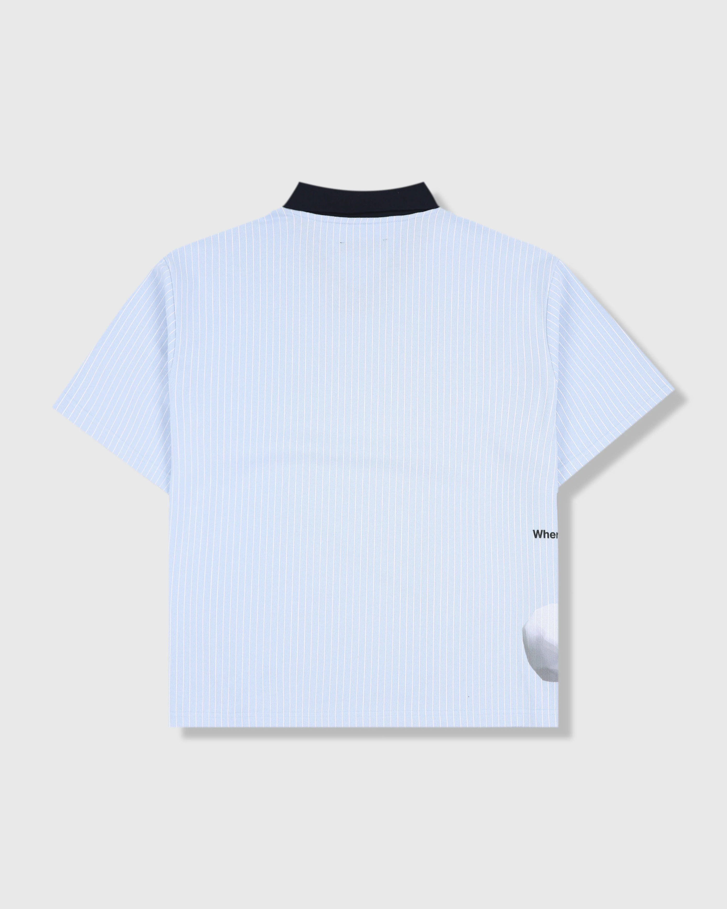 PET POLO - Image 8